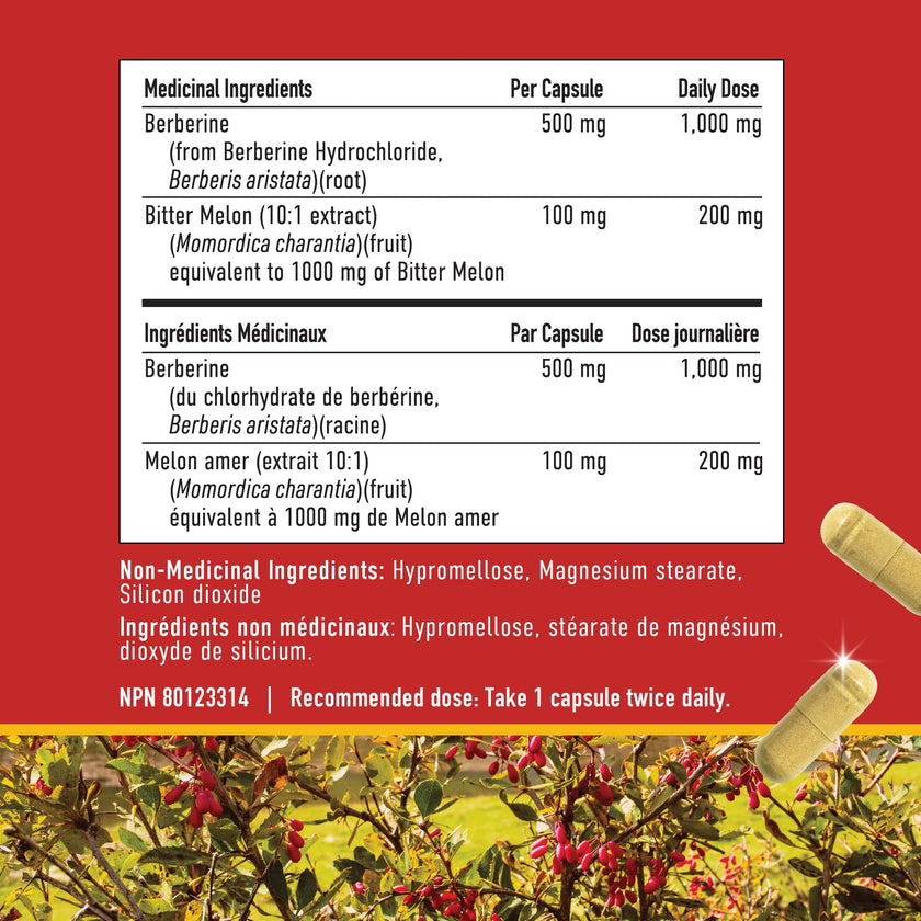 Berberine HCL Supplement | 1000mg | High Potency | Support Glucose Metabolism & Cardiovascular Health | 500mg Per Capsule | With Bitter Melon | Non-GMO, Third-Party Tested | 90 Ct. (45-Day Supply) 🍁 All In One Marketplace Canada