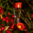 Perky-Pet 203CPBN Outdoor Pinch Waist Glass Garden Décor Hummingbird Feeder 🍁 All In One Marketplace Canada