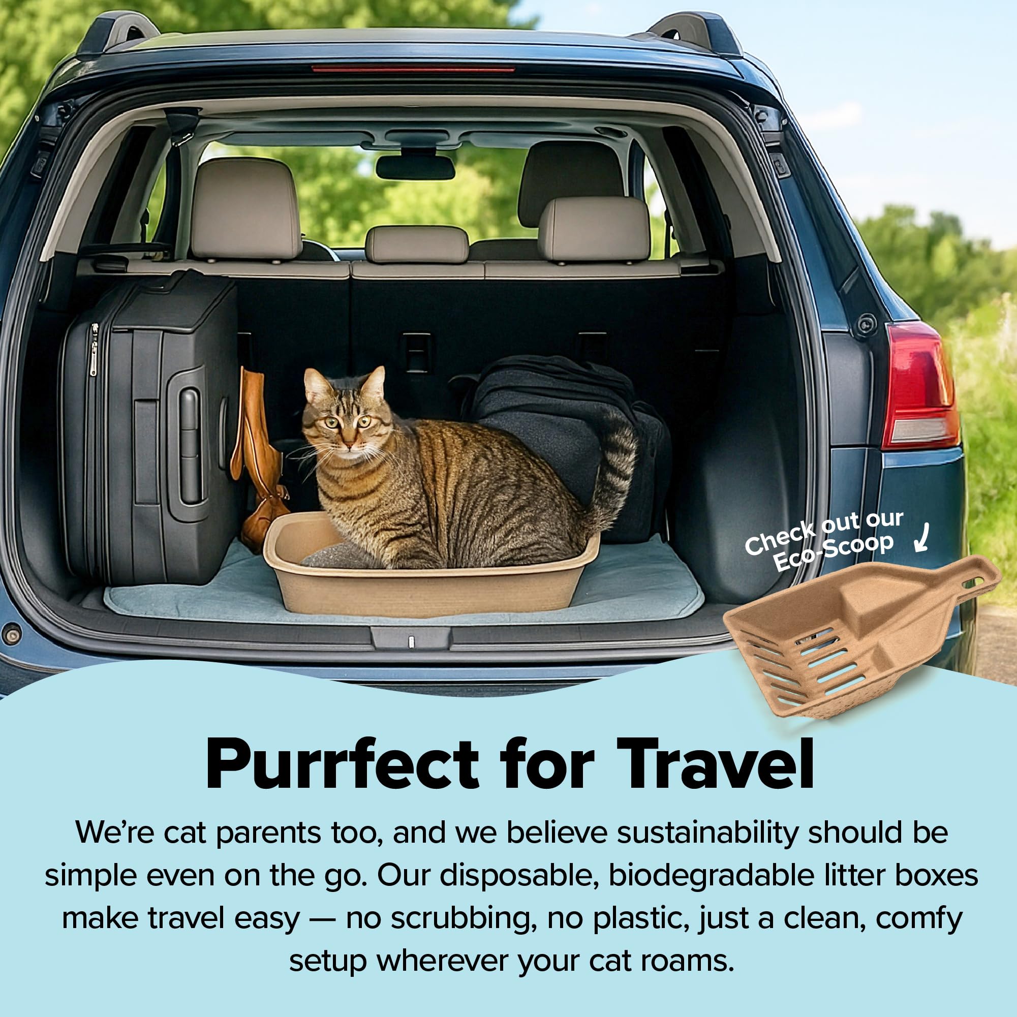 Kitty Sift Disposable Cat Litter Box Large, 6 Count, Durable Portable for Travel and Home, Eco-Friendly Disposable Litter Box Controls Odor 🍁 All In One Marketplace Canada
