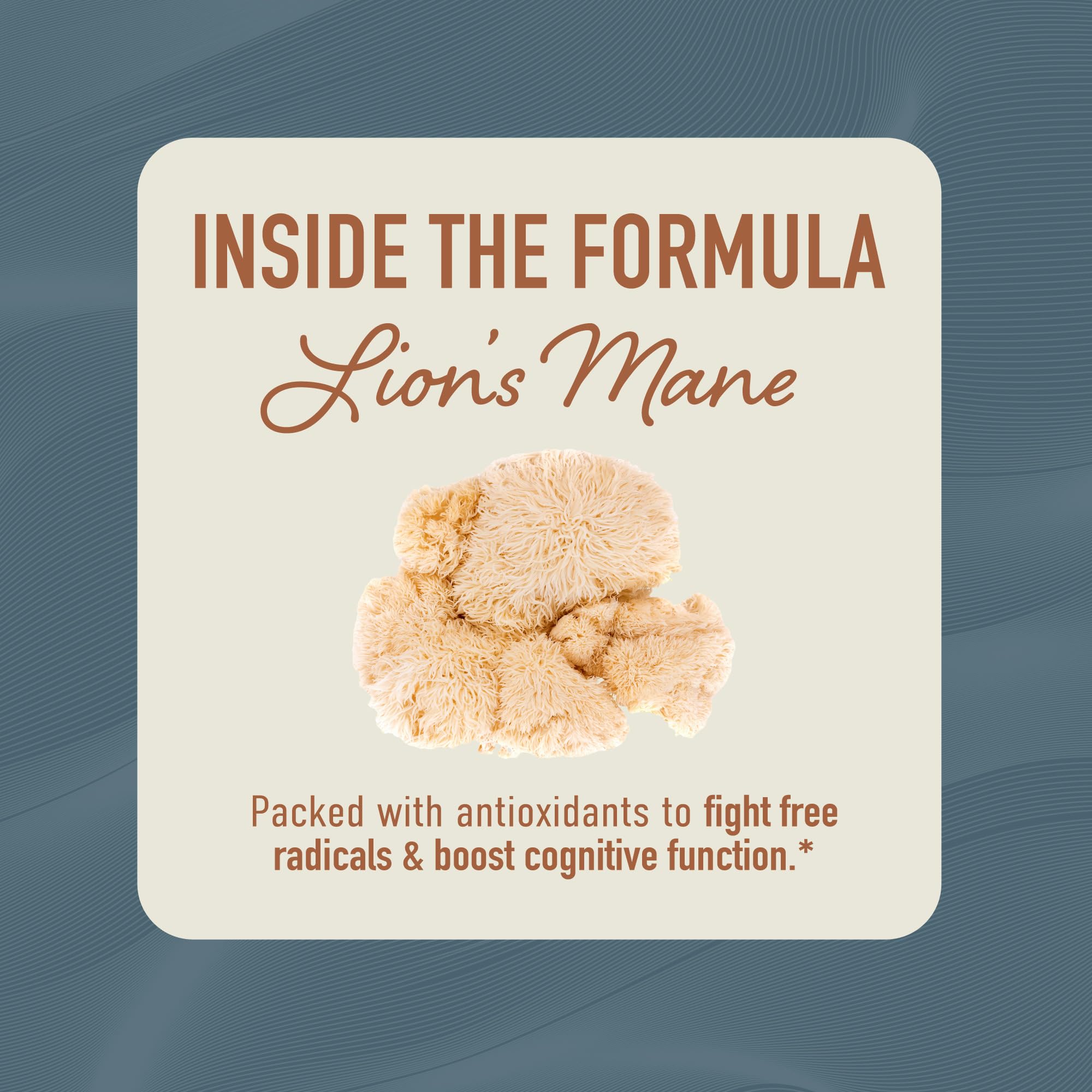 Lion’s Mane Supplement & Nootropic for Mental Clarity | 4 Month Supply | Performance & Memory Support | Antioxidant Rich & Immunomodulating Mushroom | Extra Strength Lions Mane 500mg | Non-GMO 120ct 🍁 All In One Marketplace Canada