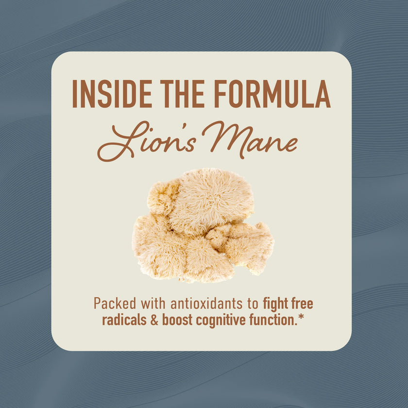 Lion’s Mane Supplement & Nootropic for Mental Clarity | 4 Month Supply | Performance & Memory Support | Antioxidant Rich & Immunomodulating Mushroom | Extra Strength Lions Mane 500mg | Non-GMO 120ct 🍁 All In One Marketplace Canada