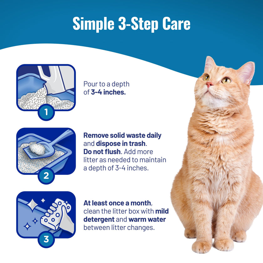 Cat's Pride Fresh and Light Premium Clumping Fragrance Free Scoopable Cat Litter Jug, 15-Pound 🍁 All In One Marketplace Canada