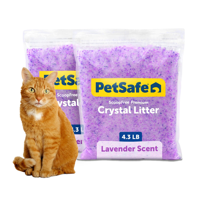 PetSafe ScoopFree Lavender Non-Clumping Crystal Cat Litter, Lightly Scented Litter – Superior Odor Control – Low Tracking for Less Mess – Lasts Up to 1 Month, 8.6 Lbs Total (2 Pack of 4.3 Lb Bags) 🍁 All In One Marketplace Canada