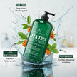 Botanic Hearth Tea Tree Body Wash | Shower Gel - 16 fl oz Helps Nail Conditions Athletes Foot Ringworms Jock Itch & Body Odor Soothes Itching & Promotes Healthy Skin and Feet Naturally Scented 🍁 All In One Marketplace Canada