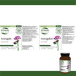 St. Francis Herb Farm - Astragalus (50ml)