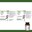 St. Francis Herb Farm - Astragalus (50ml)