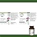 St. Francis Herb Farm - Astragalus (100ml)