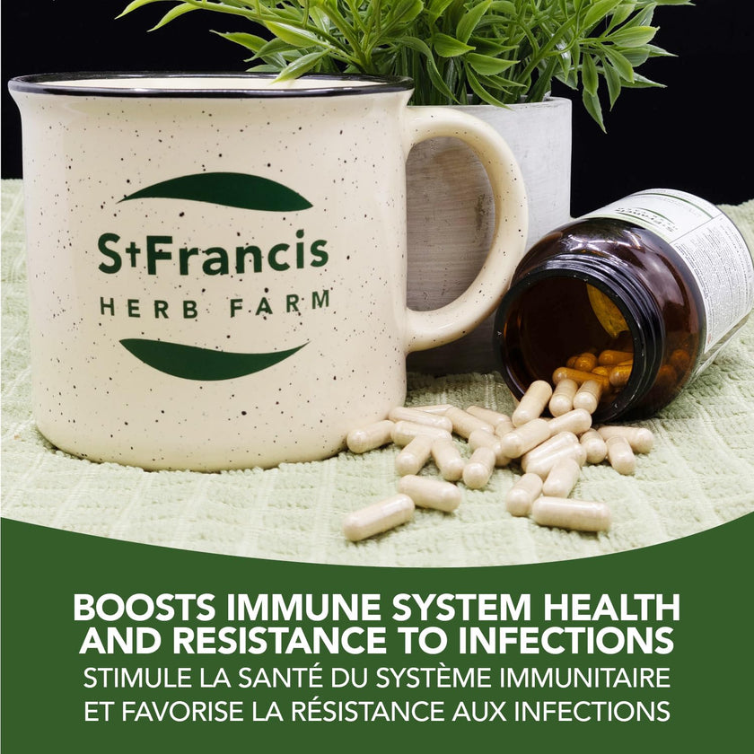 St. Francis Herb Farm - Astragalus (100ml)