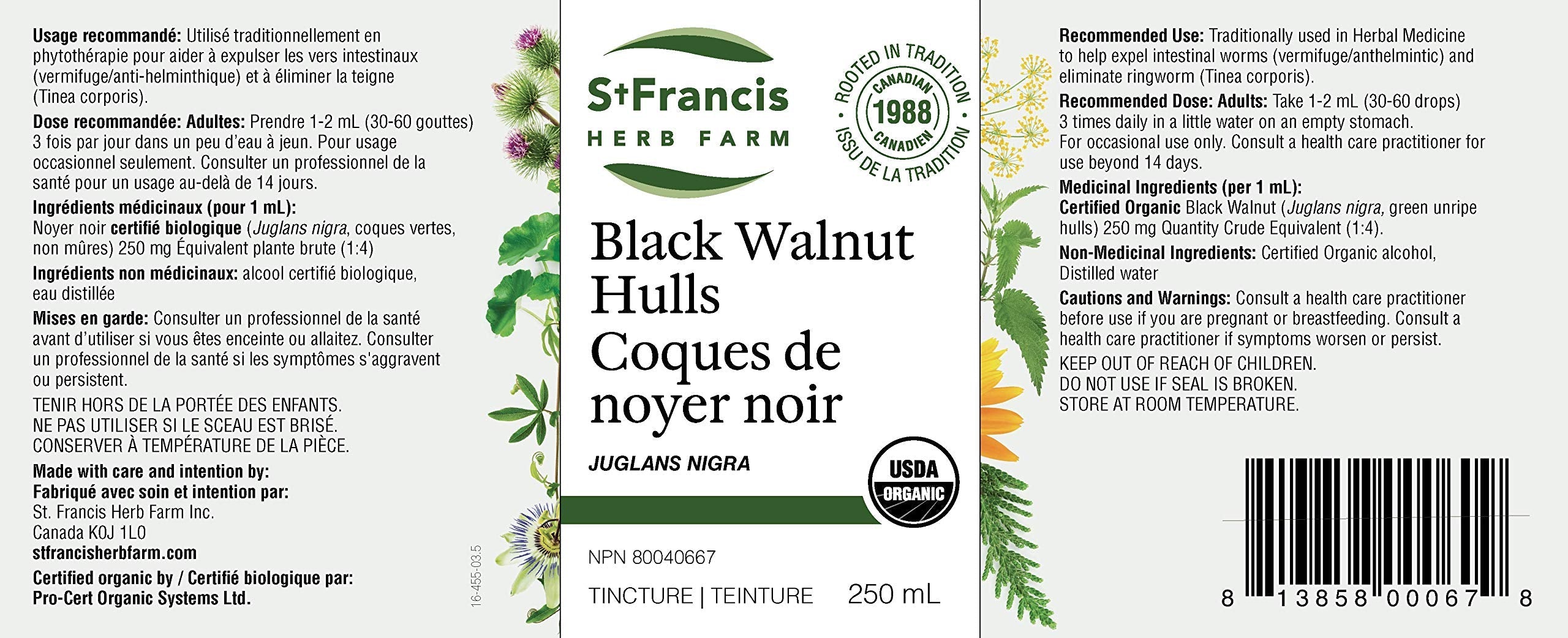 St. Francis Herb Farm - Black Walnut Hulls (50ml)