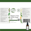 St. Francis Herb Farm - Slippery Elm (50ml)