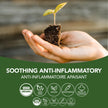 St. Francis Herb Farm - Slippery Elm (50ml)