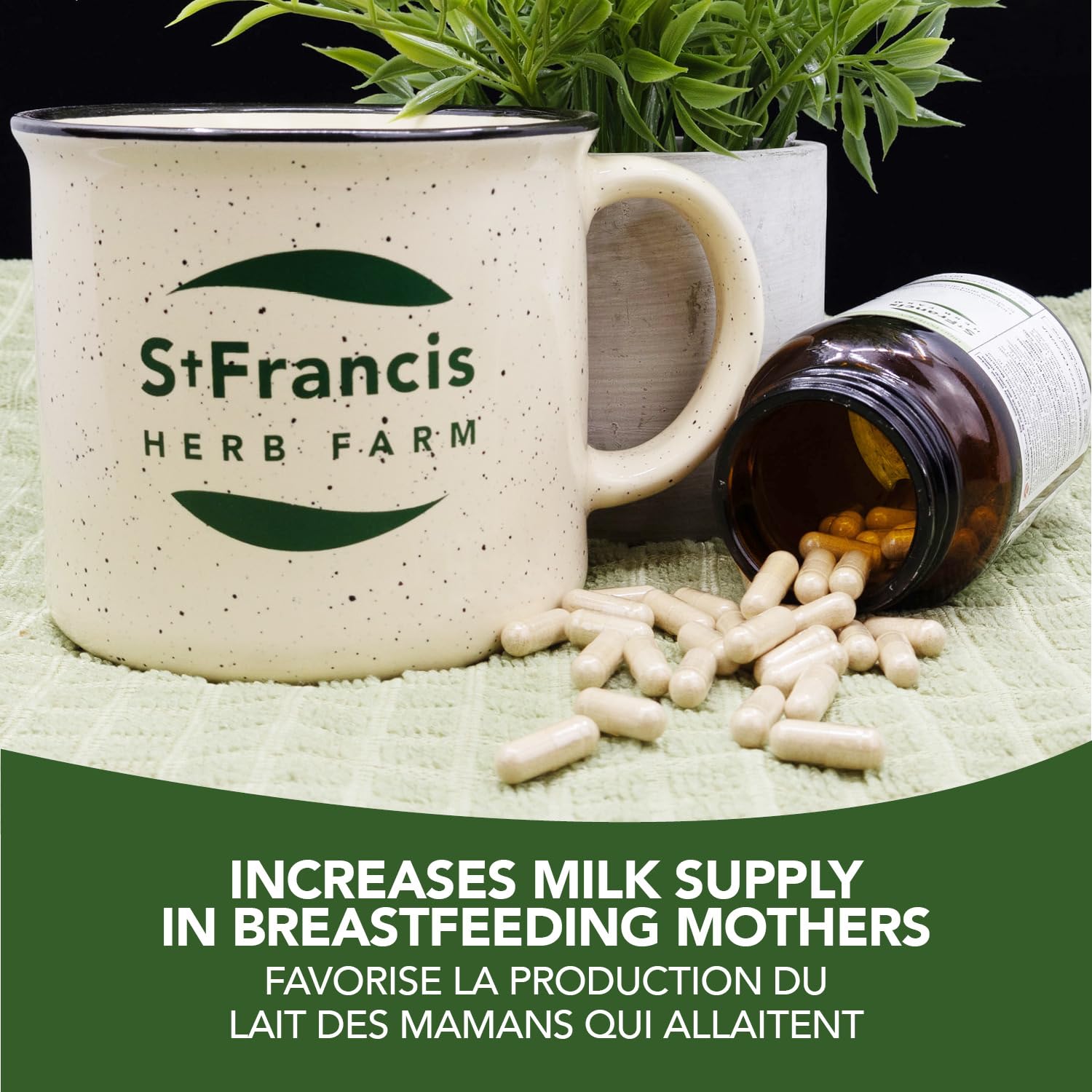 St. Francis Herb Farm - Fenugreek (50ml)