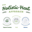St. Francis Herb Farm - Ginkgo (50ml)