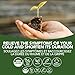 St. Francis Herb Farm - Goldenseal (100ml)