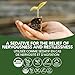 St. Francis Herb Farm - Motherwort (50ml)