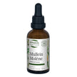 St. Francis Herb Farm - Mullein (50ml)