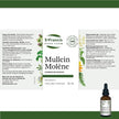 St. Francis Herb Farm - Mullein (50ml)