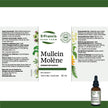 St. Francis Herb Farm - Mullein (50ml)