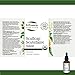 St. Francis Herb Farm - Scullcap (50ml)