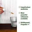 St. Francis Herb Farm - Echinaseal (50ml)