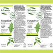 St. Francis Herb Farm - Fungafect (50ml)