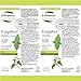 St. Francis Herb Farm - Fungafect (50ml)