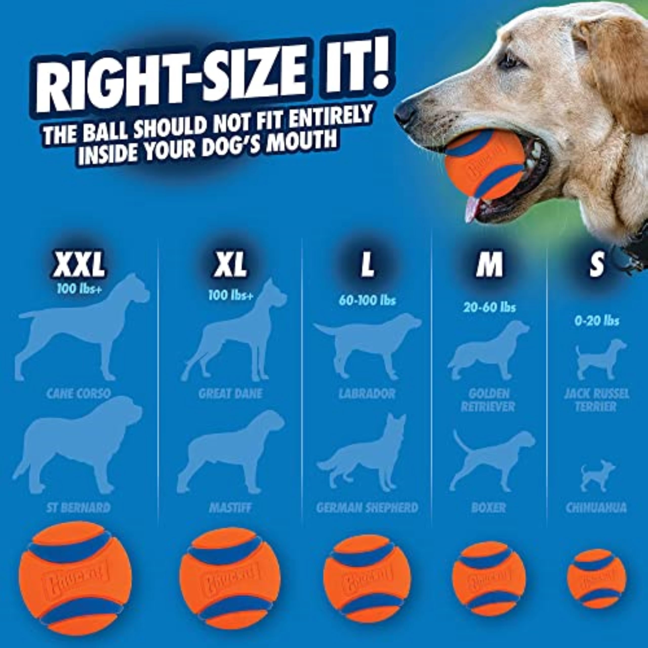 Chuckit! Ultra Ball Fetch Toy for Dogs, Medium Size 8 Pack with Cleaning Bucket 🍁 All In One Marketplace Canada