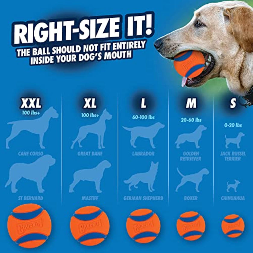 Chuckit! Ultra Ball Fetch Toy for Dogs, Medium Size 8 Pack with Cleaning Bucket 🍁 All In One Marketplace Canada