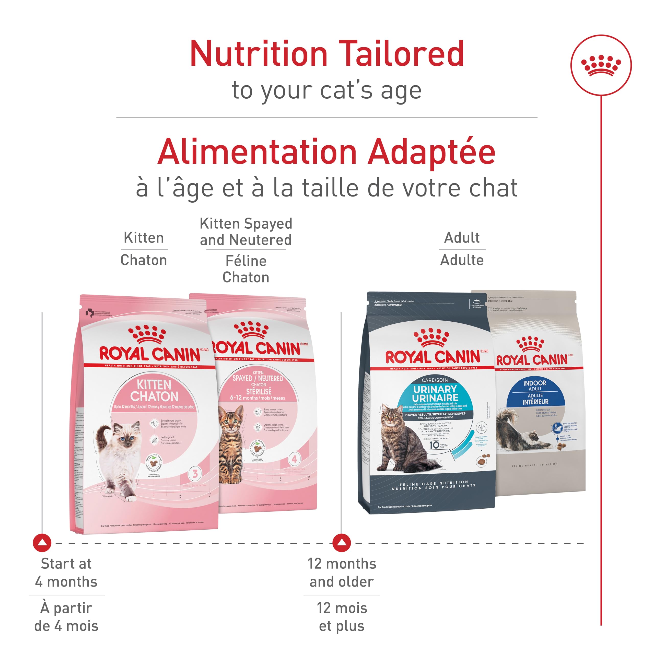 Royal Canin Feline Health Nutrition Dry Kitten Food, Supports Digestive Health, Immune Support and Healthy Energy, 3 lb Bag 🍁 All In One Marketplace Canada