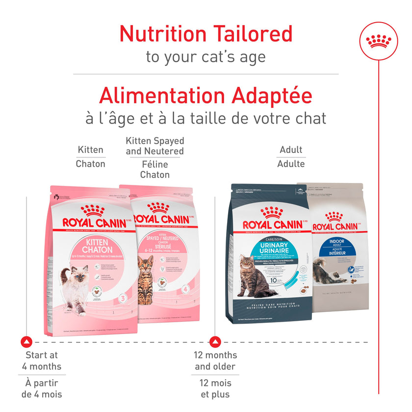 Royal Canin Feline Health Nutrition Dry Kitten Food, Supports Digestive Health, Immune Support and Healthy Energy, 3 lb Bag 🍁 All In One Marketplace Canada