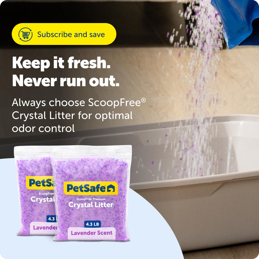 PetSafe ScoopFree Lavender Non-Clumping Crystal Cat Litter, Lightly Scented Litter – Superior Odor Control – Low Tracking for Less Mess – Lasts Up to 1 Month, 8.6 Lbs Total (2 Pack of 4.3 Lb Bags) 🍁 All In One Marketplace Canada