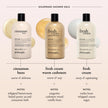 philosophy fresh cream warm cashmere hydrating shower gel, cleanses, conditions, moisturizes skin,480ml 🍁 All In One Marketplace Canada