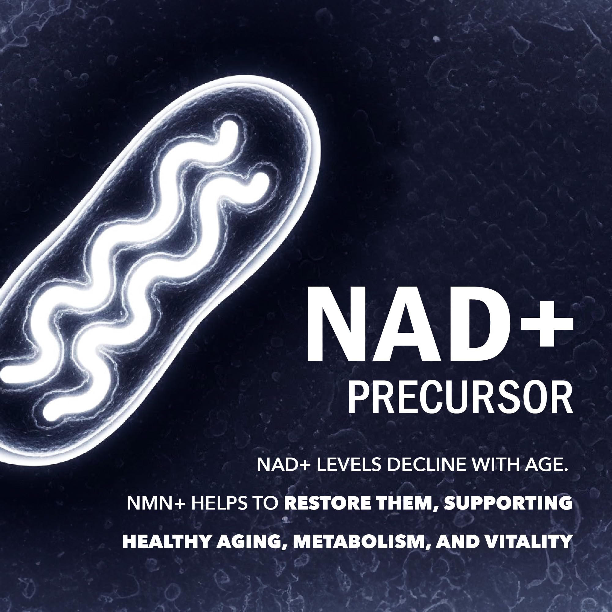 NMN Supplement 1200mg | Extra Strength | NAD+ Precursor for Healthy Aging, Cellular Energy & Longevity Support | 99% Purity | NMN Supplement Canada Made, Third-Party Tested & Vegan | 60 Capsules 🍁 All In One Marketplace Canada