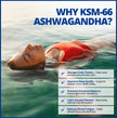 CanPrev Ashwagandha 600mg Vegan 60 Capsules 60-Day Supply - Vegan & Non-GMO - Organic KSM-66 Formula for Enhanced Relaxation & Energy, Sleep Support, Memory Boost - Supplement for Weight Management 🍁 All In One Marketplace Canada