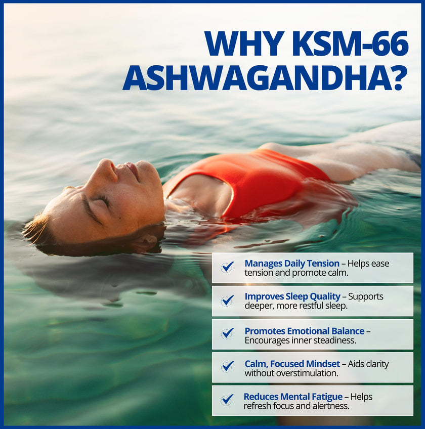 CanPrev Ashwagandha 600mg Vegan 60 Capsules 60-Day Supply - Vegan & Non-GMO - Organic KSM-66 Formula for Enhanced Relaxation & Energy, Sleep Support, Memory Boost - Supplement for Weight Management 🍁 All In One Marketplace Canada