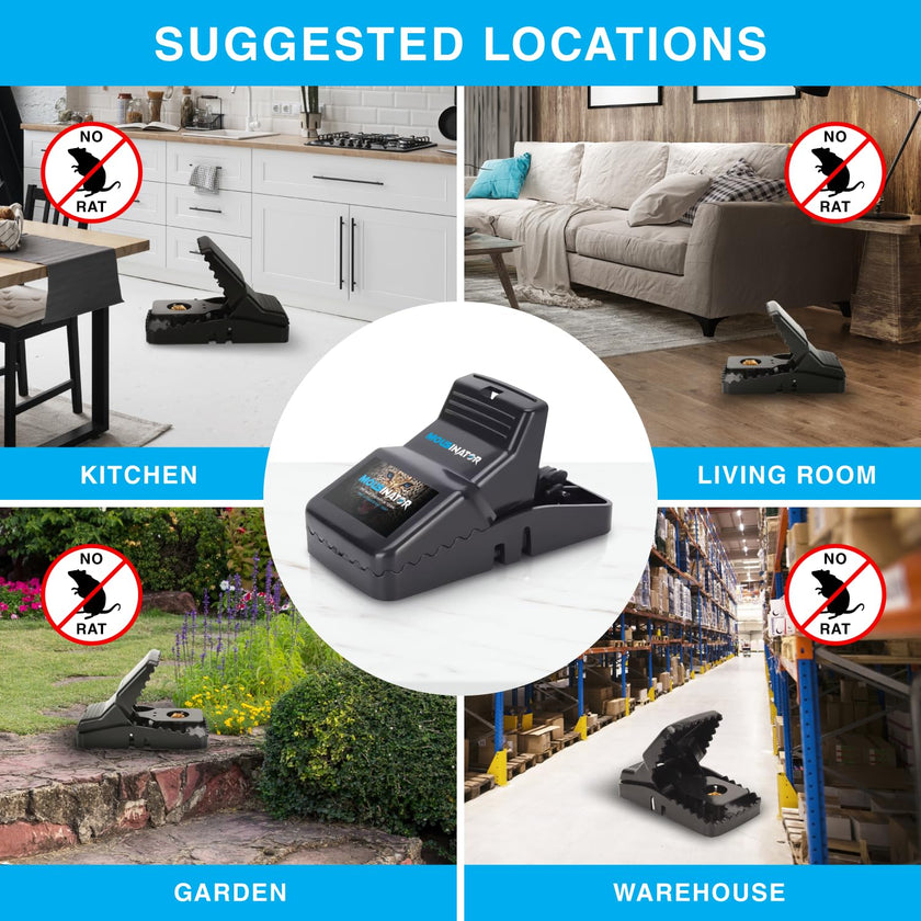 MOUSINATOR Rat Trap | 6-Pack | Large Rat Snap Traps for Indoor and Outdoor Use | Easy to Set | Safe and Reusable Design | Easy to Clean | Effective Powerful Large Mouse Trap that Works Instantly 🍁 All In One Marketplace Canada