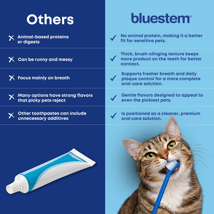 bluestem Cat and Dog Toothpaste – Scientifically Formulated Coactiv+ Pet Toothpaste Helps Reduce Plaque & Tartar, Freshens Breath, and Promotes Daily Dog and Cat Oral Care – Chicken Flavor (70g) 🍁 All In One Marketplace Canada