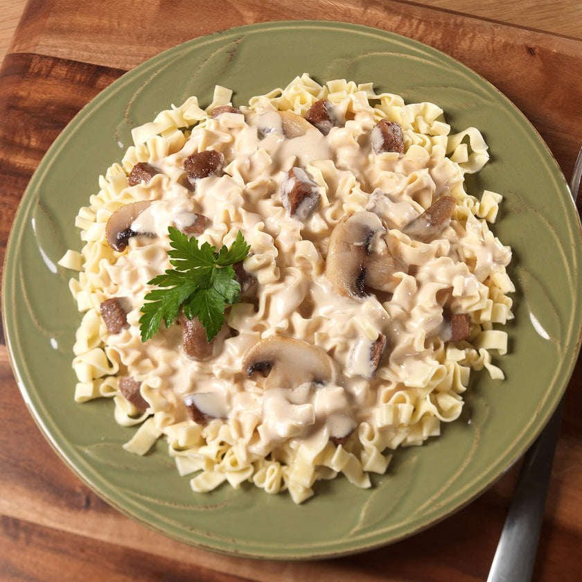 Mountain House Beef Stroganoff, Freeze Dried Emergency Food, Single Pouch 🍁 All In One Marketplace Canada