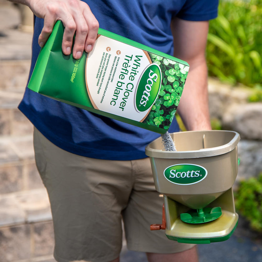 Scotts White Clover Lawn Seed, 1kg (Covers 1,100 Sq. Ft.) – Low-Maintenance, Self-Fertilizing, Drought-Tolerant Grass Seed Alternative for Eco-Friendly Lawns 🍁 All In One Marketplace Canada