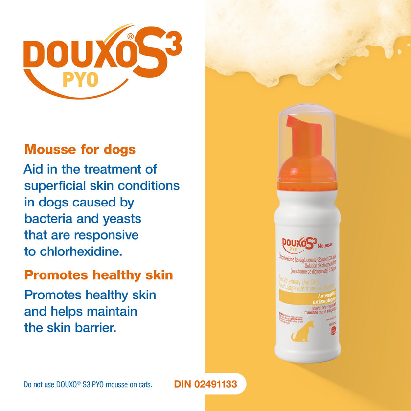 Douxo S3 Pyo Mousse, Contains 3% Chlorhexidine, for Dogs, 5.1 fl. oz. (150mL) 🍁 All In One Marketplace Canada