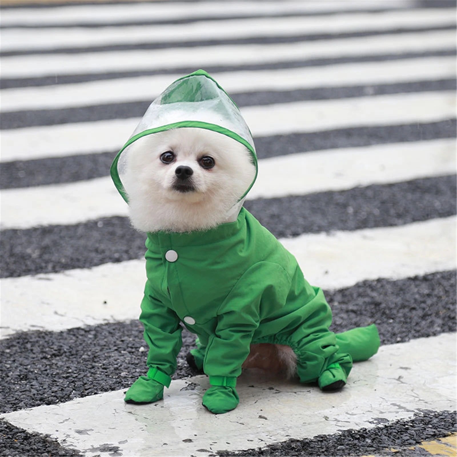 Canada Raincoat