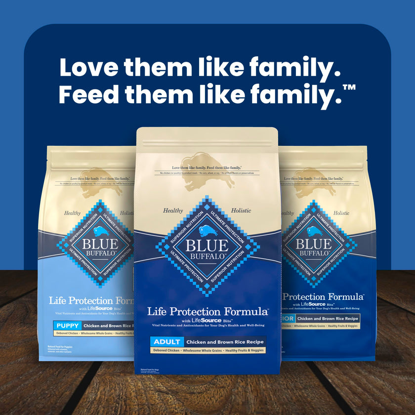 Blue Buffalo Life Protection Formula Chicken & Brown Rice Adult Dry Dog Food, Supports Immunity with Antioxidant-Rich LifeSource Bits, Promotes Healthy Muscle Development, 2.7kg/6lbs 🍁 All In One Marketplace Canada