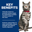 Hill's Science Diet Adult Urinary and Hairball Control Stew Wet Cat Food, 2.9-oz can, case of 12 🍁 All In One Marketplace Canada