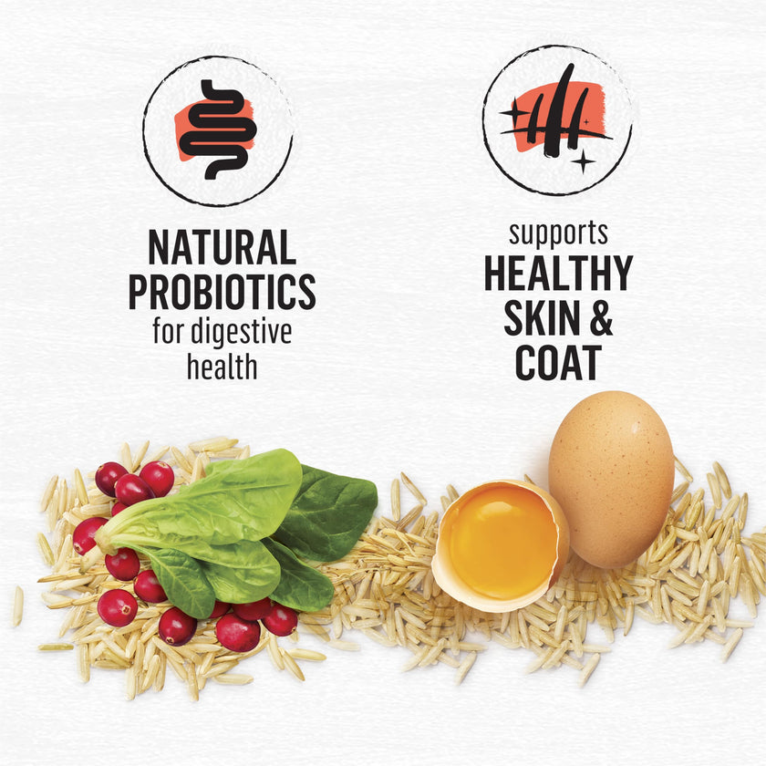 Beyond Simply Natural Dry Cat Food, Salmon & Whole Brown Rice - 2.72 kg Bag 🍁 All In One Marketplace Canada