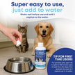 bluestem Dental Care Water Additive for Dogs & Cats – No Brushing Daily Teeth Cleaner – Pet Oral Rinse to Freshen Breath & Help Reduce Plaque – Flavorful & Easy Oral Hygiene (500 ml, Original) 🍁 All In One Marketplace Canada