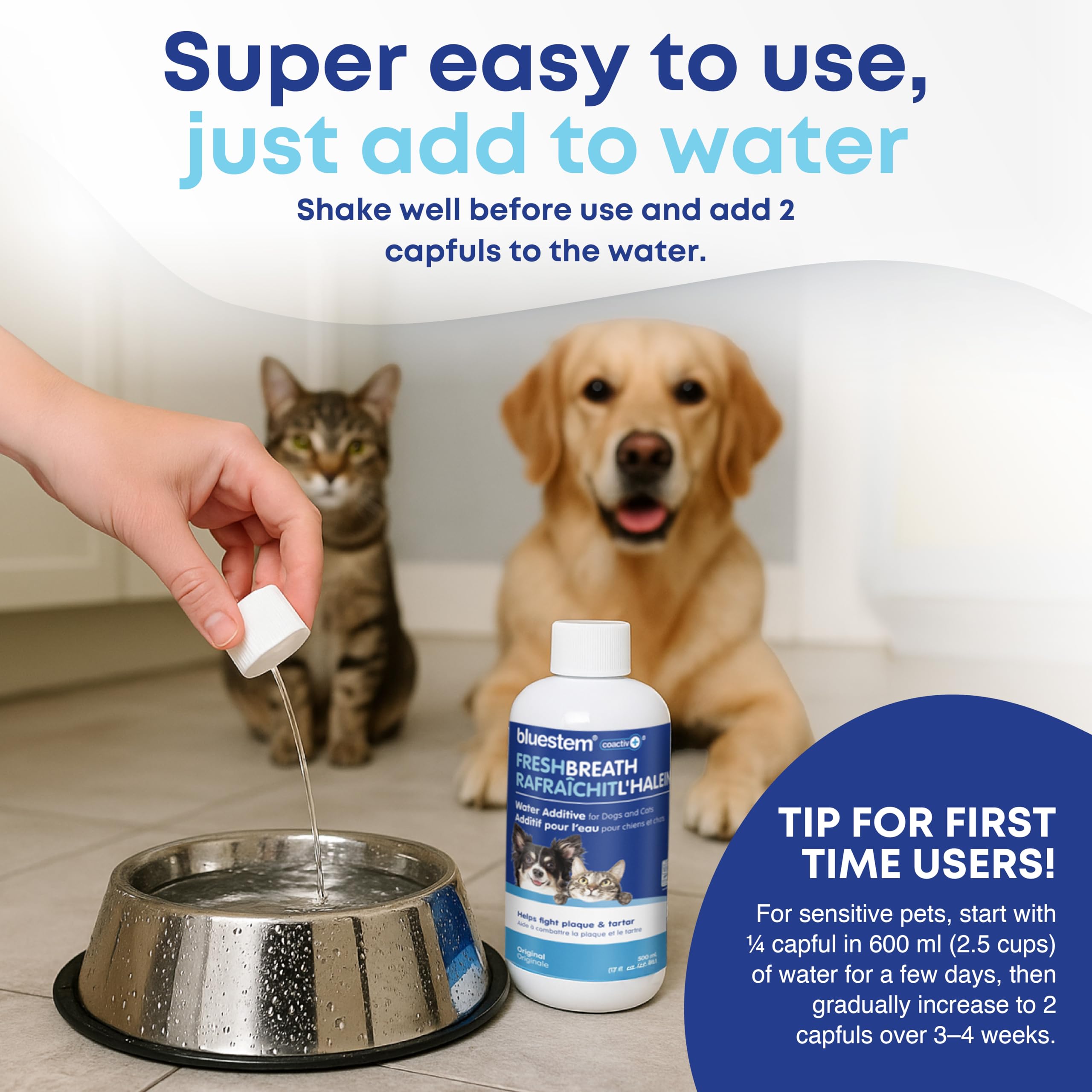 bluestem Dental Care Water Additive for Dogs & Cats – No Brushing Daily Teeth Cleaner – Pet Oral Rinse to Freshen Breath & Help Reduce Plaque – Flavorful & Easy Oral Hygiene (500 ml, Original) 🍁 All In One Marketplace Canada