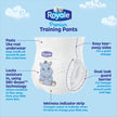 Royale Premium Training Pants, Size Medium, 2T-3T (Up to 34 lbs), 111 Count, Disposable Training Pants (Packaging may vary) 🍁 All In One Marketplace Canada