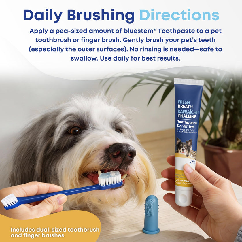 bluestem Cat and Dog Toothpaste – Scientifically Formulated Coactiv+ Pet Toothpaste Helps Reduce Plaque & Tartar, Freshens Breath, and Promotes Daily Dog and Cat Oral Care – Chicken Flavor (70g) 🍁 All In One Marketplace Canada
