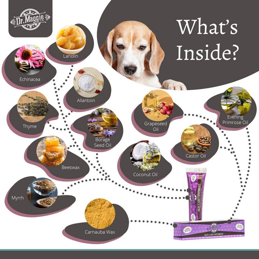 Dr. Maggie Skin Care Ointment for Cats and Dogs, 30g 🍁 All In One Marketplace Canada