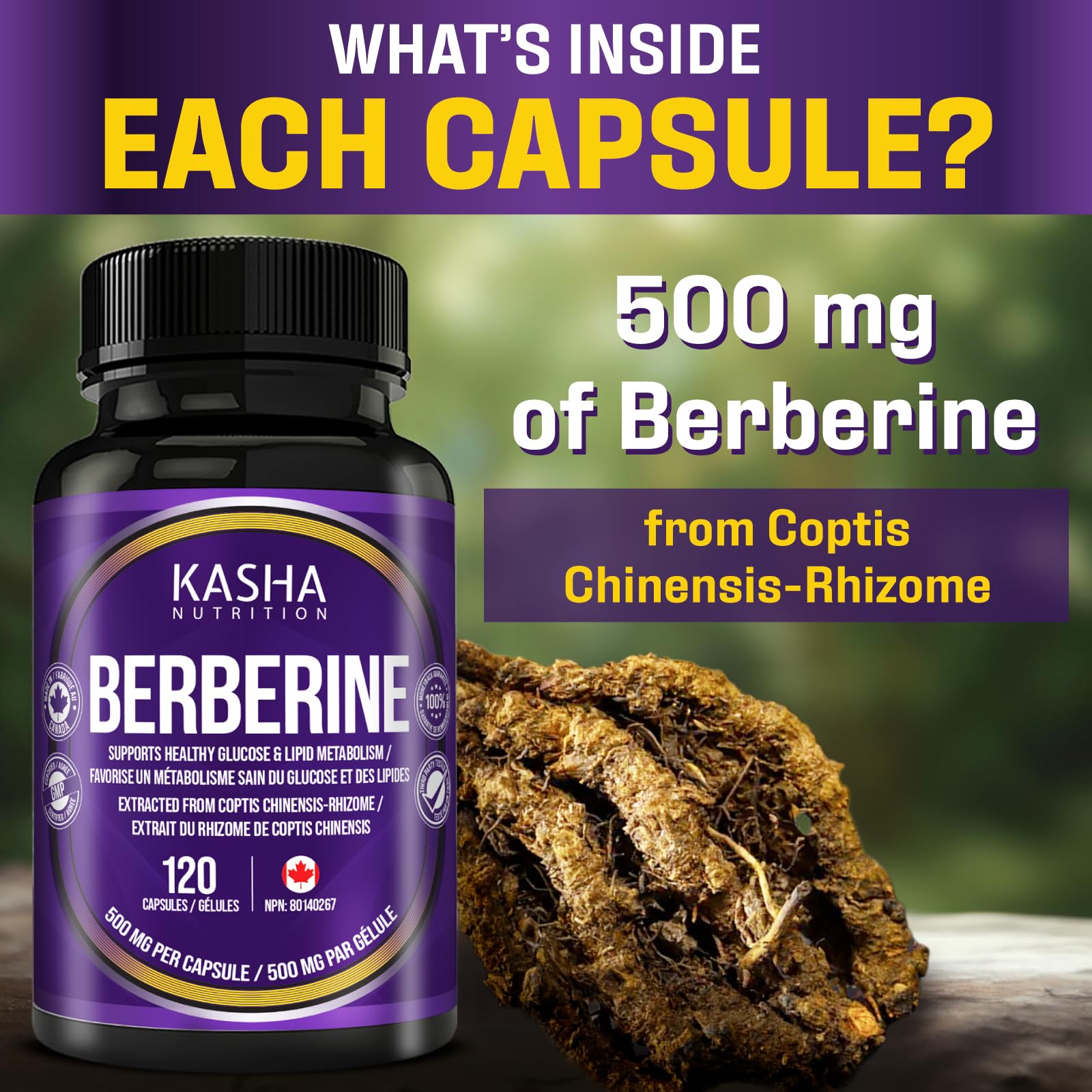 Maximum Strength Berberine Supplement 1000 mg Per Serving (500mg Per Capsule). Supports Healthy Glucose (Blood Sugar) and Lipid (Fats) Metabolism. Non-GMO, Vegan, Gluten-free. Bulk 120 Capsules. Proudly Canadian. Easy to Swallow. Kasha Nutrition